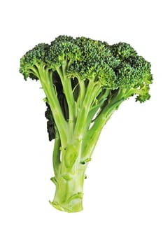 Broccoli floret with clipping path.