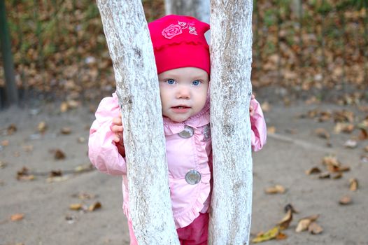 Pretty little girl stay behind tree in autumn park.