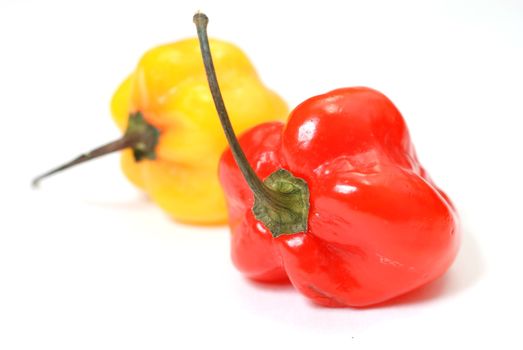 Closeup of red and yellow habanero peppers isolated on white background.