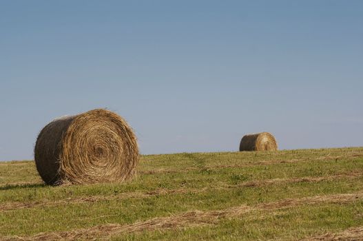 Shot of the landscape - hay-meadow