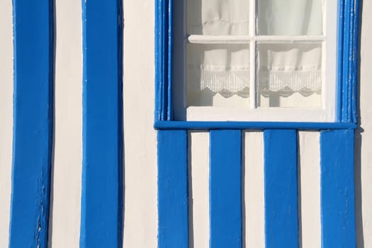 beautiful blue and white house detail