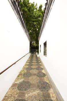 A wide chinese style garden with trees and plants

