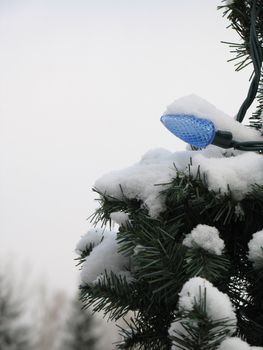 christmas light covered with snow