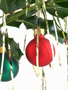 Colorful green and red Christmas bulbs hanging on a branch of holly.  Draped with gold tinsel, over a white background.