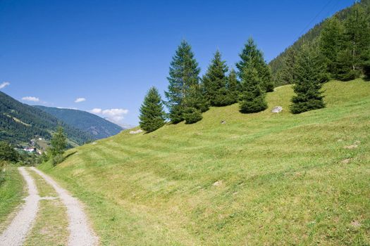 summer view of Val di Sole, Trentino, Italy