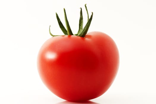 closeup of one red tomato on white background
