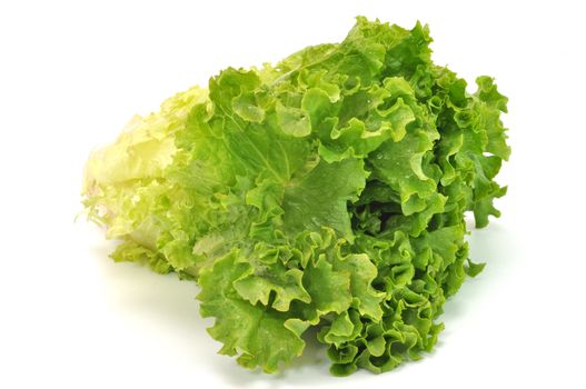 Green leafy lettuce isolated on white background.