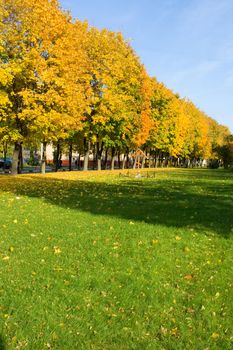 Autumn city park in solar autumn day