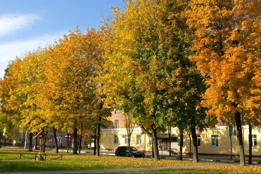 Autumn city park in solar autumn day