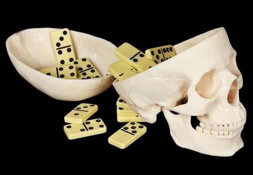 The human skull filled with dominoes on a black background