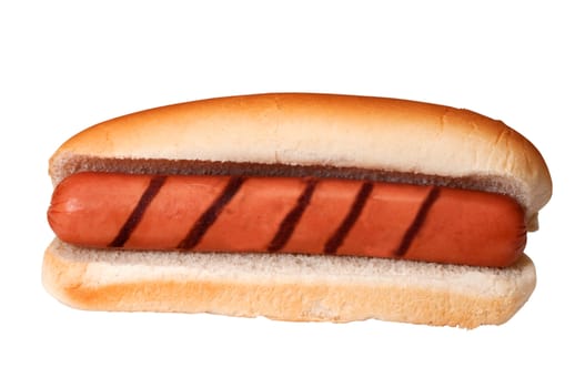 Plain hot dog with grill marks isolated on white background with clipping path.