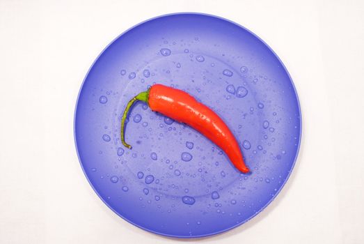 Pepper chile on violet plate with droplet of water,on white background

