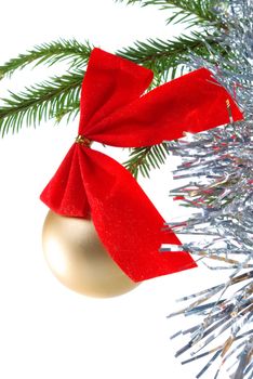 green branches of the pine,embellishment cristmas,white background