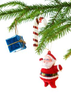 santa claus ,Christmas bauble  on background of the fur branches