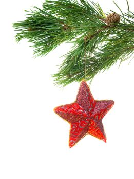 Red star hanging from a branch.white background
