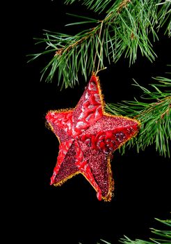 Red star hanging from a branch.black background