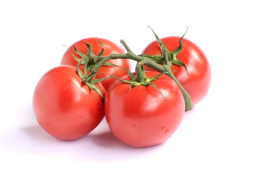 Bunch of fresh red garden tomatoes