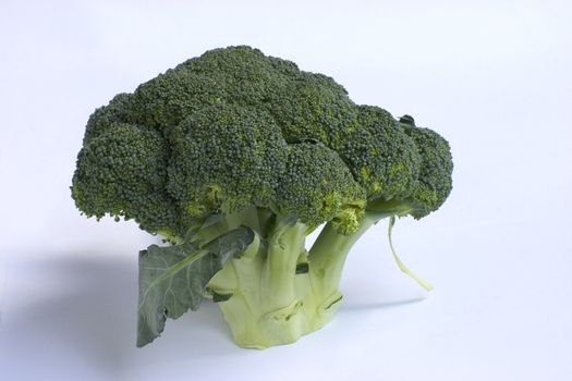 fresh green broccoli isolated on a white background