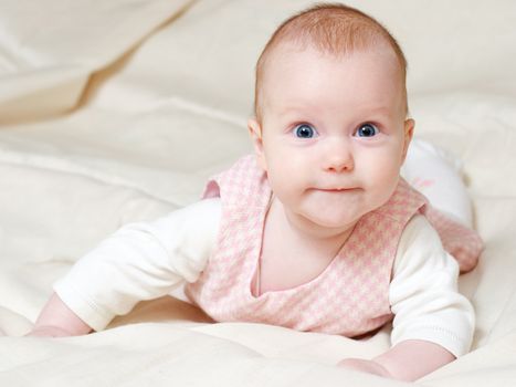 Portrait of attentive four month baby girl with blue eyes and red hair