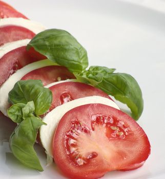 tomatoes and  mozarela isolated on a white background 