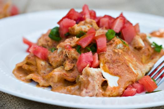 Chicken Enchiladas garnished with freshly diced tomatoes and green onions. Shallow DOF.