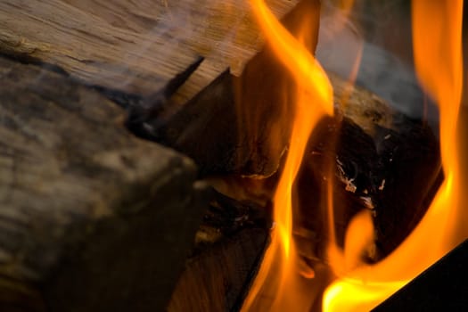 Fire at night. The beautiful fiery background