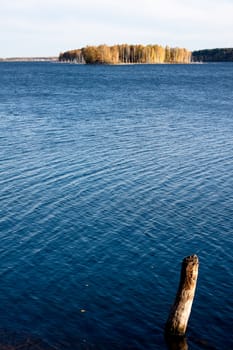 lake with yellow trees, blue sky and lifeless branch in water  
