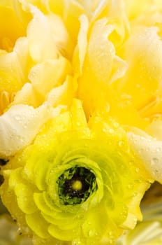 A colorful yellow bridal bouquet of flowers close up