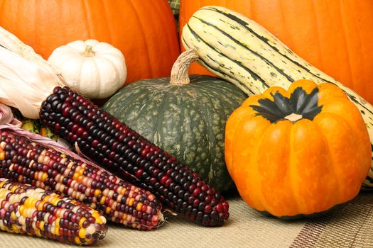 Autumn scene with pumpkins, corn, and colorful orange and green squash