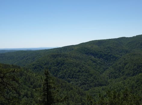 View along the chestnut trail in North Carolina's South Mountain State Park.