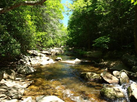Mountain creek in the spring of the year in rural North Carolina