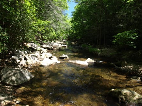 Mountain creek in the spring of the year in rural North Carolina