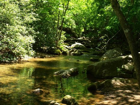 Mountain creek in the spring of the year in rural North Carolina