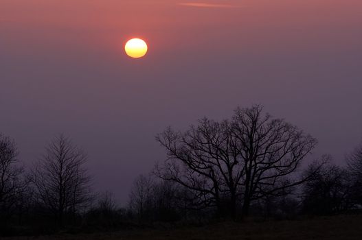 Shot of a sky and sunset - twilight sky