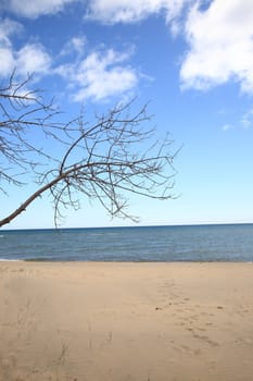 Footprints lead to the sea -  Michigan shoreline of Great Lake
