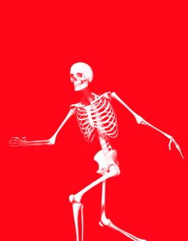 A active Skelton that would make a great Halloween or medical image.