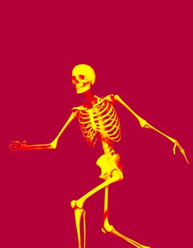A active Skelton that would make a great Halloween or medical image.