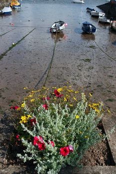 a calm sea on the west coast of ireland with boats anchored in the bay and flowers in the foreground