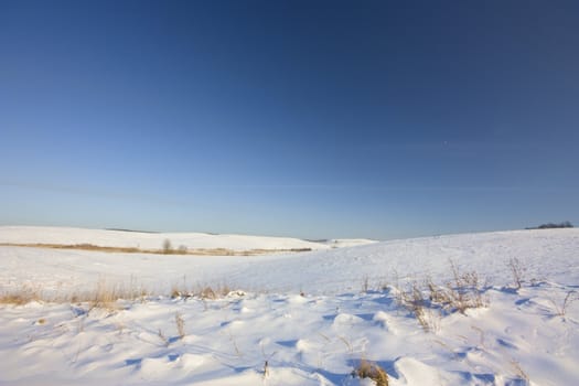 Winter field