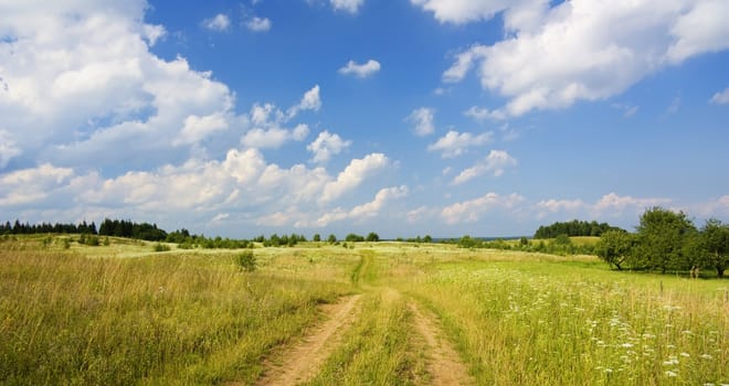 summer landscape