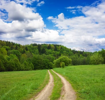 road to the forest