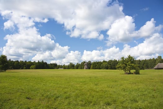 summer landscape