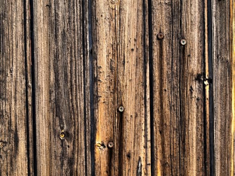 a texture image of a wooden door