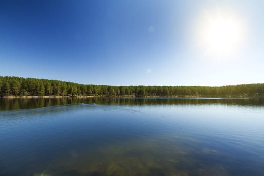 Forest Lake, Spring