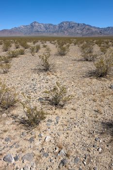 Mountains in the national park Mojave with blue sky