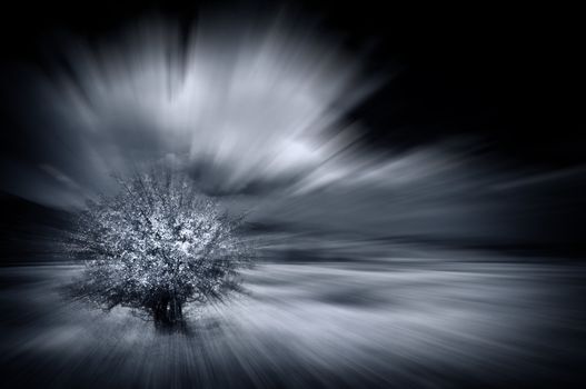 abstract motion blured background with alone tree 