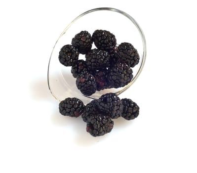 cup of blackberries on white background