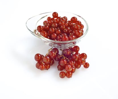 cluster of currants on a white background