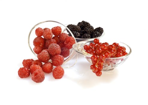 blackberries raspberries and currants on a white background