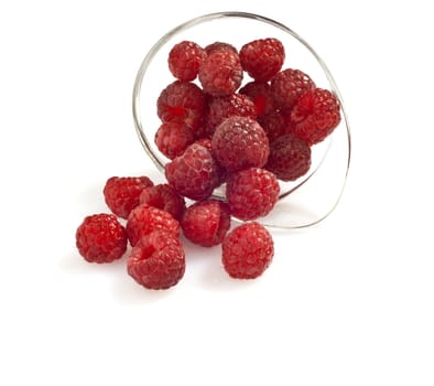 
freshly picked raspberries on white background